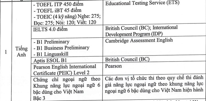 Những chứng chỉ ngoại ngữ nào được tính 10 điểm tiếng Anh thi tốt nghiệp THPT?-1