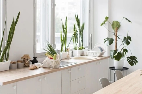 Phong thủy nhà ở không tốt ảnh hưởng tới những người trong nhà như thế nào theo quan niệm phong thủy-4