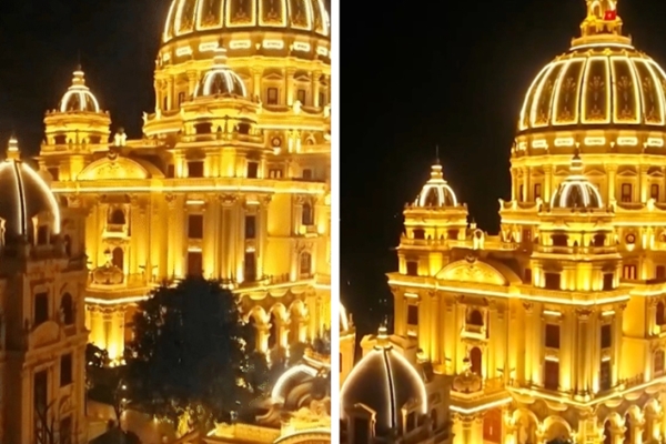 Cây cảnh điềm lành, đẹp lộng lẫy, báu vật gia truyền, trồng trong sân mang điềm lành vào nhà-14