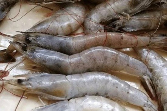 3 loại tôm dù rẻ đến mấy cũng không nên mua, loại thứ 2 nhiều người hay ăn