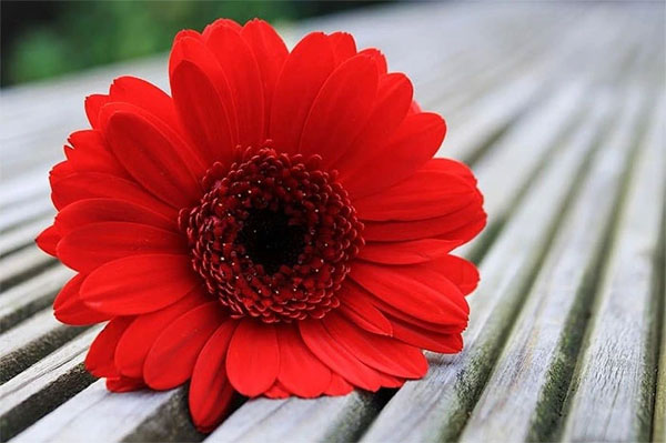 Hồng phúc đầy tay: 3 con giáp đầu tư sinh lời, kinh doanh đại thắng trong nửa cuối tháng 3-2