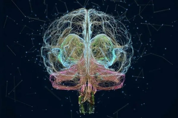 Cảnh báo máy tính- não người của tỷ phú Elon Musk dễ bị tấn công và thao túng bởi bên thứ ba-1