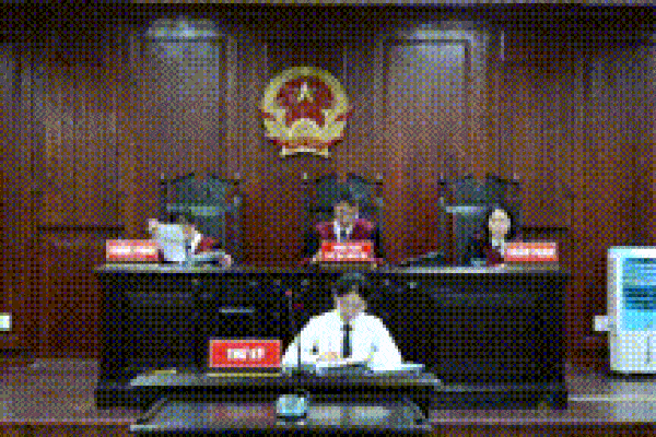 Không chấp nhận đổi thẩm phán trong phiên phúc thẩm vụ bà Phương Hằng-4