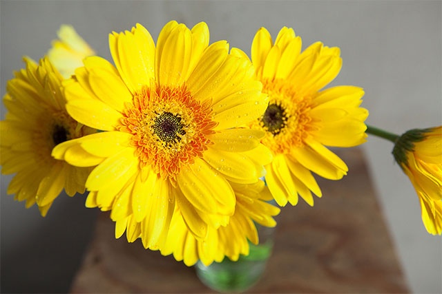 Tử vi ngày 12/3/2024: Tuổi Dần tạo dựng uy tín, tuổi Tuất cơ hội đón chờ-2