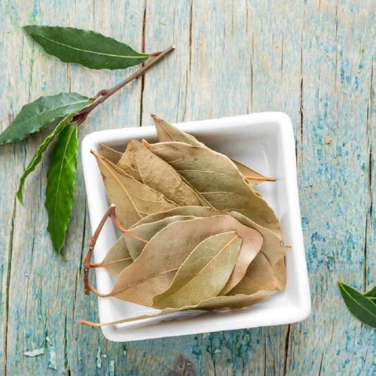 Loại lá mời chưa chắc đã lấy, bên trời Tây giá 2 triệu đồng/kg-1