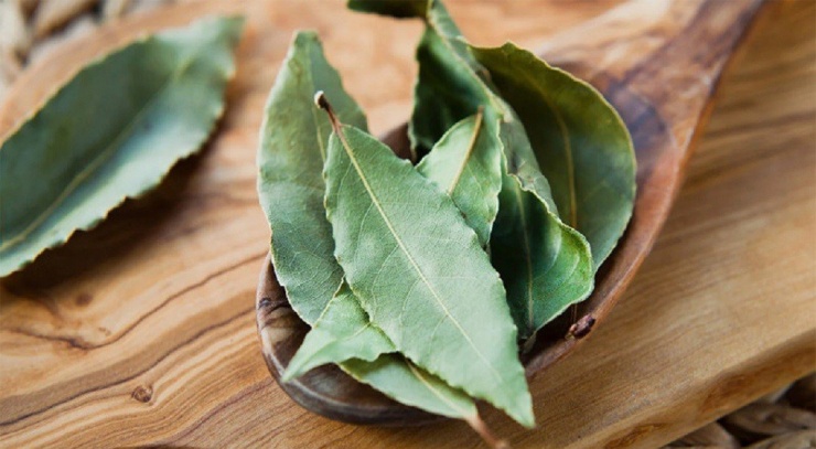 Loại lá mời chưa chắc đã lấy, bên trời Tây giá 2 triệu đồng/kg-3