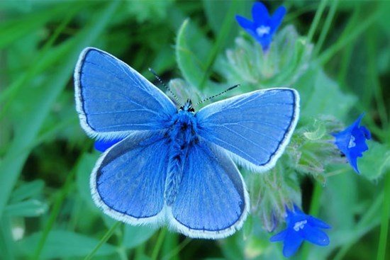 Đầu tháng 2 Âm lịch, 4 con giáp đón ngày tốt lành, vận may dâng trào, sự nghiệp phát đạt