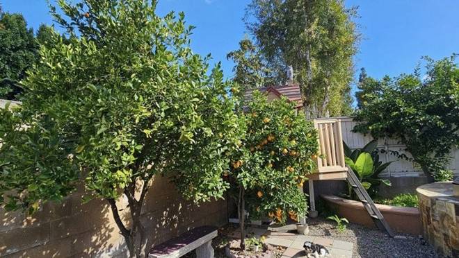 Khu vườn rộng của chị đẹp Thu Phương và ông xã Dũng Taylor trong biệt thự khang trang ở Mỹ-9