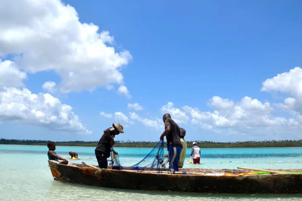 8 trẻ em và 1 người lớn tử vong sau khi ăn thịt rùa biển-1