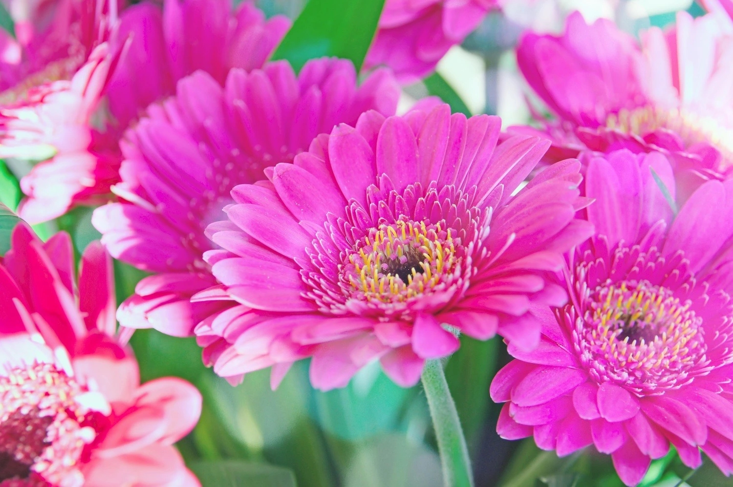 Nửa đầu năm Giáp Thìn 2024, 3 con giáp đón đầu vận may, của cải đầy tay, phất lên trông thấy-2