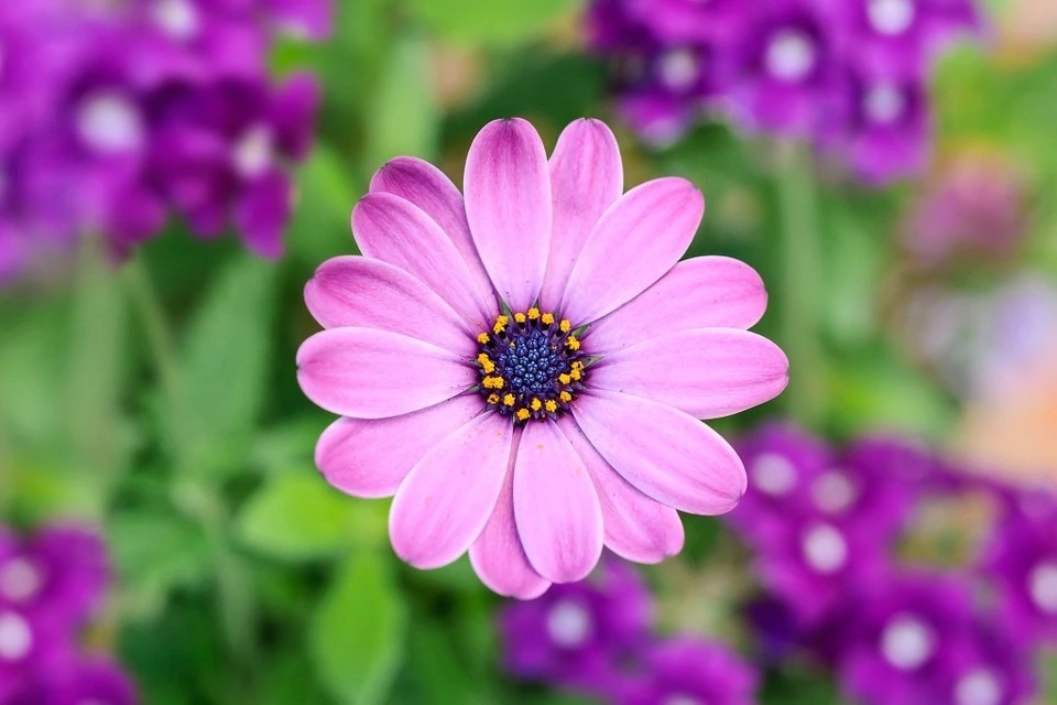 Nửa đầu năm Giáp Thìn 2024, 3 con giáp đón đầu vận may, của cải đầy tay, phất lên trông thấy-3