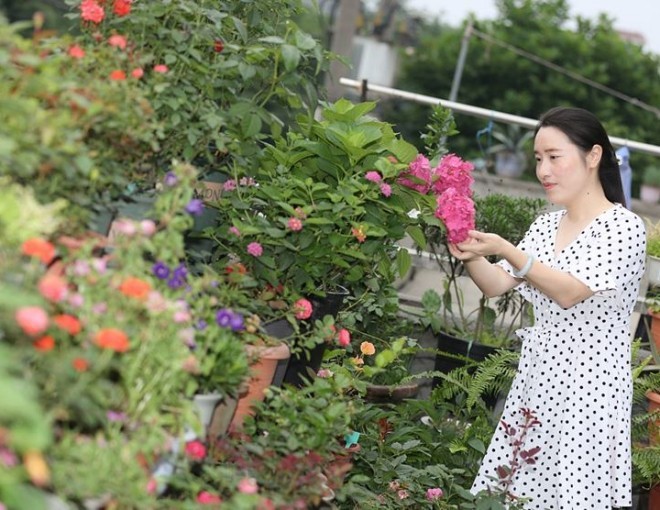 Cô gái biến căn nhà 3 tầng thành biển hoa”, bố mẹ sốt sắng vì con quá nghiện vườn”, không chịu yêu đương-1