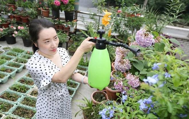 Cô gái biến căn nhà 3 tầng thành biển hoa”, bố mẹ sốt sắng vì con quá nghiện vườn”, không chịu yêu đương-2