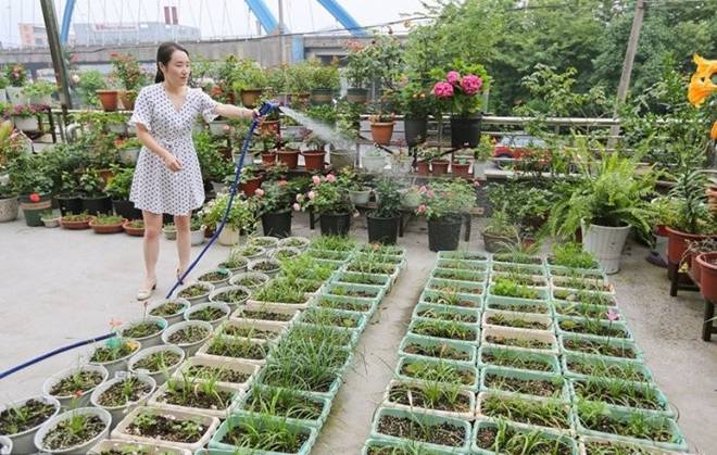 Cô gái biến căn nhà 3 tầng thành biển hoa”, bố mẹ sốt sắng vì con quá nghiện vườn”, không chịu yêu đương-3