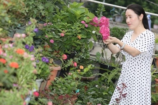 Cô gái biến căn nhà 3 tầng thành “biển hoa”, bố mẹ sốt sắng vì con quá “nghiện vườn”, không chịu yêu đương