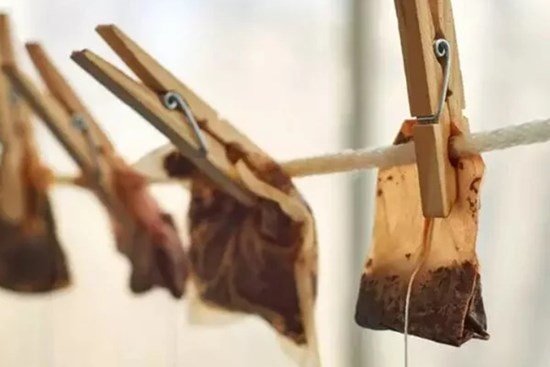 Công dụng tuyệt vời của trà túi lọc đã qua sử dụng