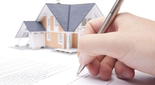 Mẹ chồng chia 1.000m2 đất nhưng không đoái hoài đến vợ chồng tôi-1