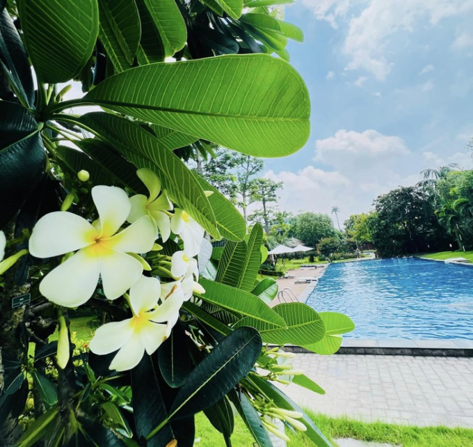 Bên trong biệt thự 60 tỷ của phú bà VFC: Không gian rộng 600m2, nội thất đắt đỏ và một điều gây choáng ngợp-6