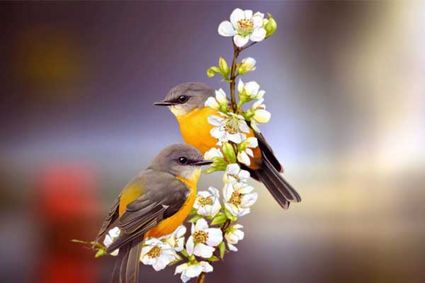 Tháng 3 đón cơ hội, tháng 4 thoát nghèo, 4 con giáp có cuộc sống thoải mái, đếm tiền mỏi tay-1