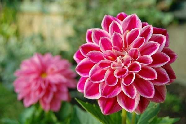 Xui xẻo qua đi, niềm vui từ trên trời rơi xuống, 3 con giáp này gặp may trong công việc, túi tiền ngày càng phình to-4