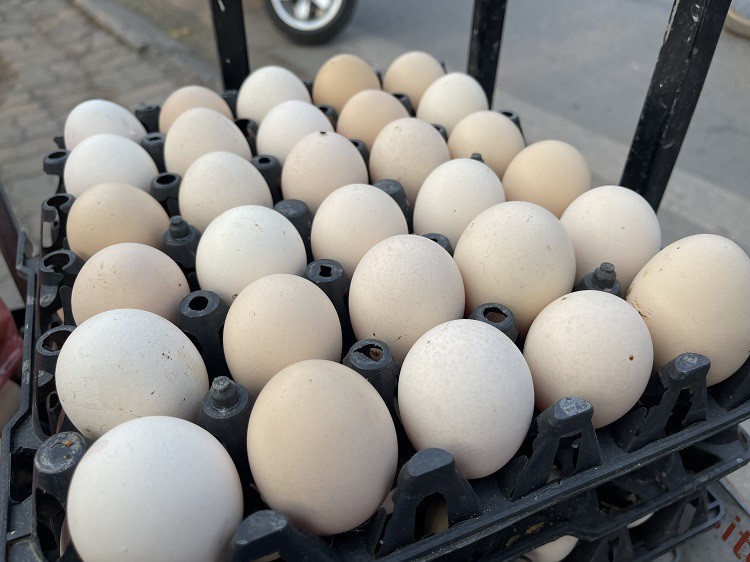 Bất ngờ khắp nơi rao bán trứng với giá siêu rẻ”, người nuôi gà đẻ nói gì?-1