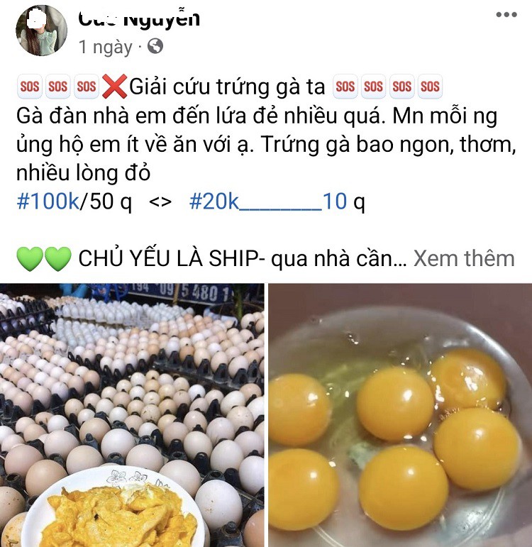 Bất ngờ khắp nơi rao bán trứng với giá siêu rẻ”, người nuôi gà đẻ nói gì?-2