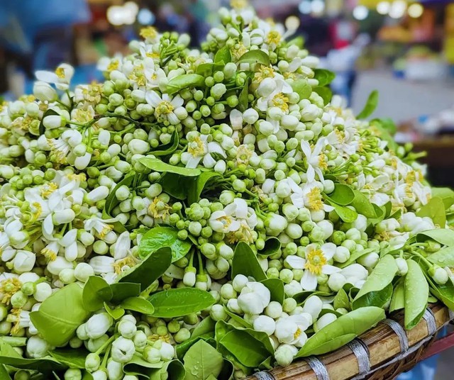 Cách cắm hoa bưởi tươi lâu để làm đẹp và thơm khắp nhà-2