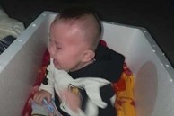 Bé gái 5 tháng tuổi bị bỏ rơi trong thùng xốp trước cây xăng