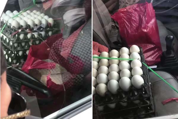 Người phụ nữ giao trứng hoảng hốt vì túi tiền lạ hàng tỷ đồng: Danh tính người ném tiền vào ô tô-3