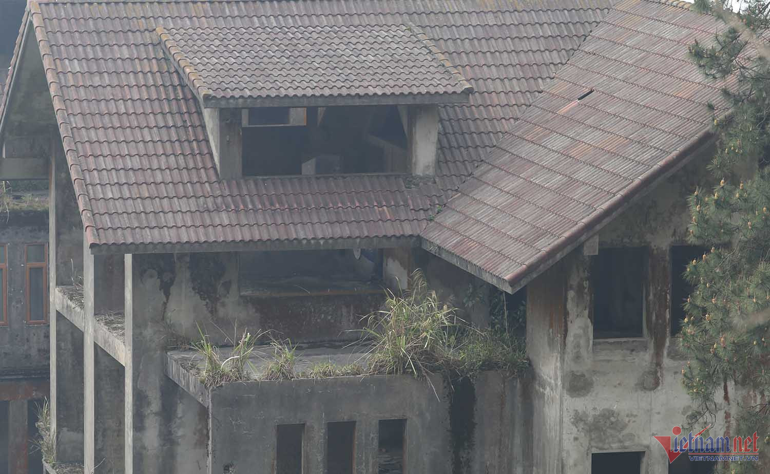 Chuyện khó tin trong căn biệt thự bỏ hoang ở Vĩnh Phúc-3