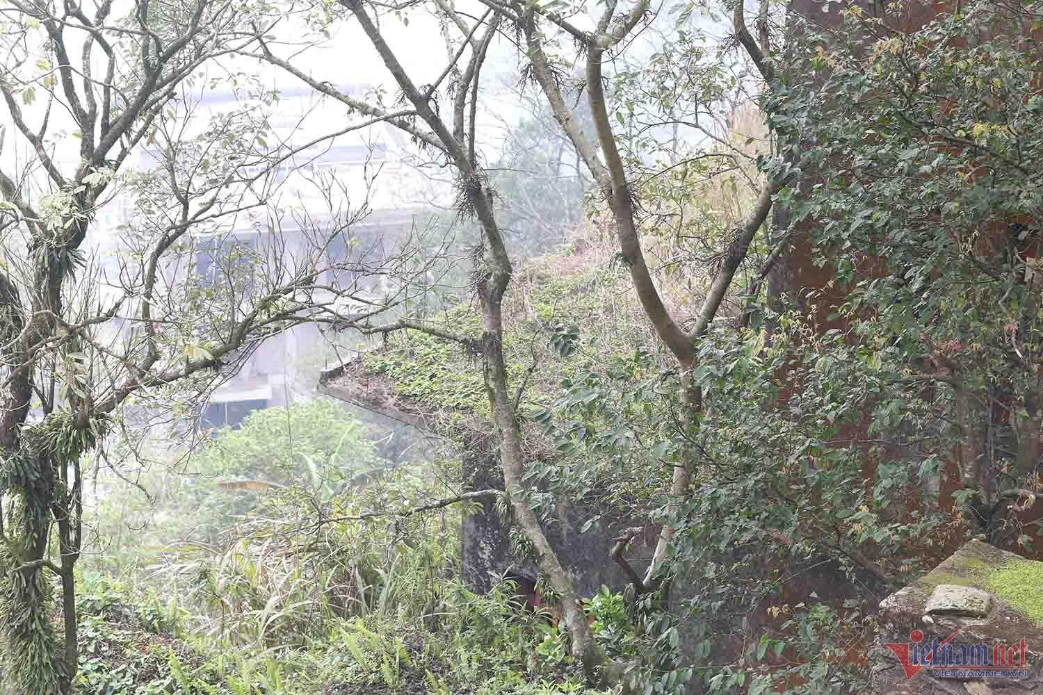 Chuyện khó tin trong căn biệt thự bỏ hoang ở Vĩnh Phúc-4