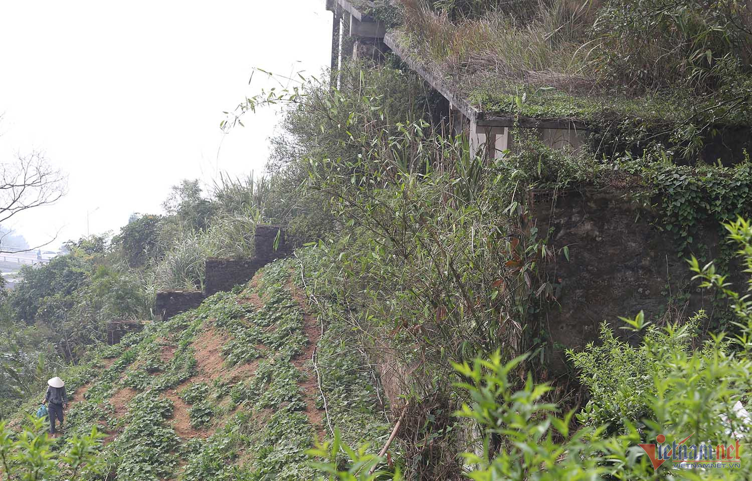 Chuyện khó tin trong căn biệt thự bỏ hoang ở Vĩnh Phúc-9