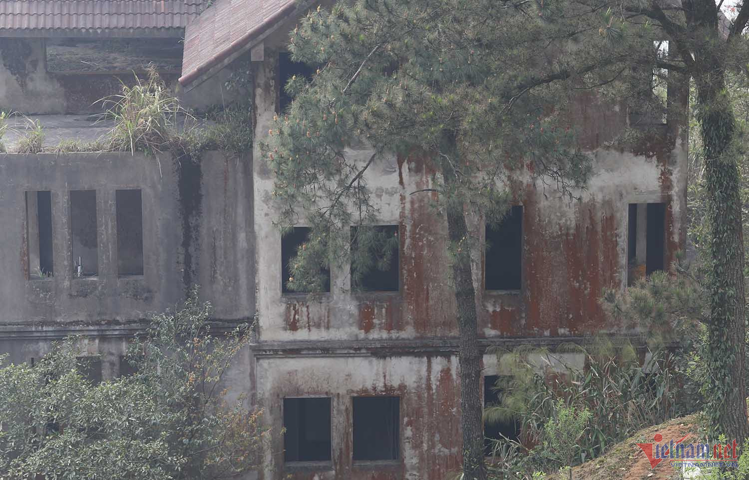 Chuyện khó tin trong căn biệt thự bỏ hoang ở Vĩnh Phúc-10