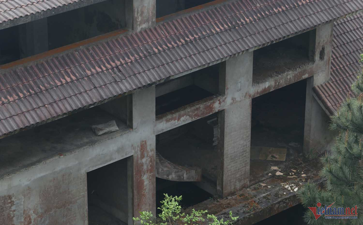 Chuyện khó tin trong căn biệt thự bỏ hoang ở Vĩnh Phúc-2