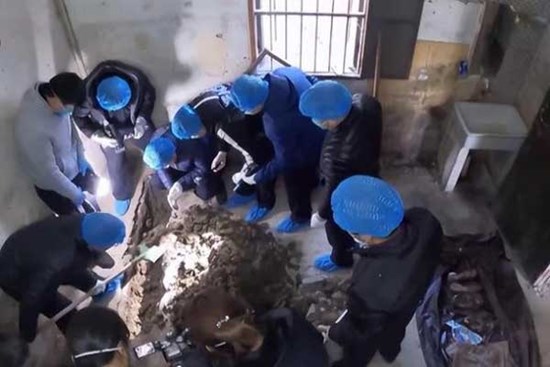 Con gái biến mất, bố mẹ tưởng đi làm ăn xa: 19 năm sau, 6 thanh sắt dưới sàn nhà hé lộ sự thật