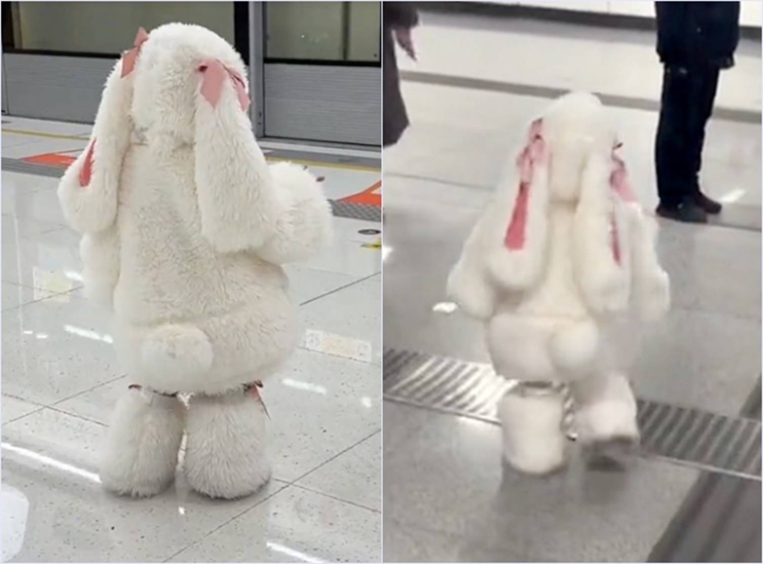 Thế giới này bị làm sao thế: Em bé mặc đồ thỏ dễ thương lật tẩy sự đen tối của MXH khiến các phụ huynh có con gái sợ hãi-1