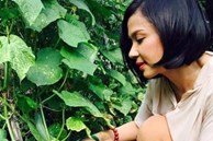 Việt Trinh ở tuổi 51: 'Tôi về vườn, không còn đủ sức chiến đấu với thị phi'