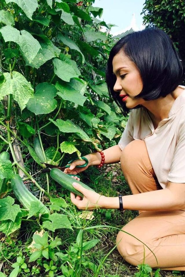 Việt Trinh ở tuổi 51: Tôi về vườn, không còn đủ sức chiến đấu với thị phi-2