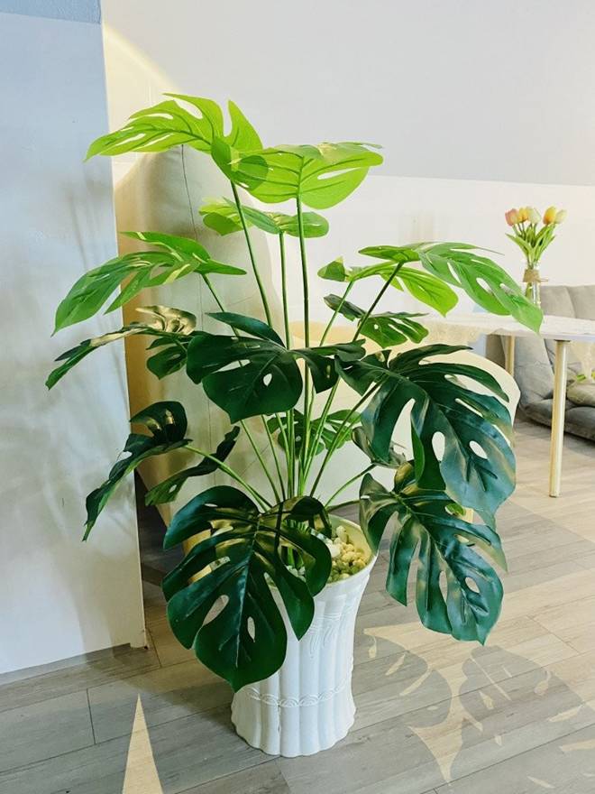 Thuê phòng trọ 1,2 triệu/tháng, 9X chia sẻ cách trang trí phòng trọ cực xinh chỉ với 6 triệu đồng-10