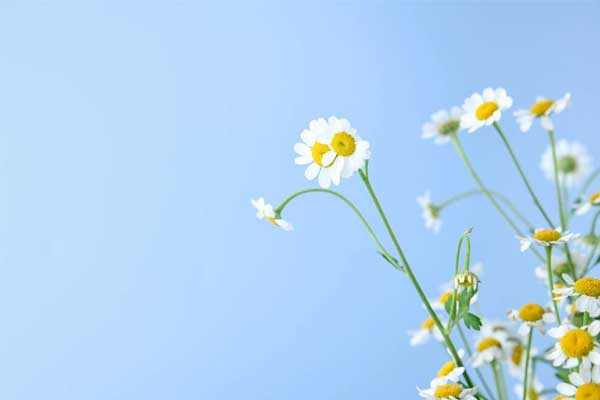 Ngay cả Thần Tài cũng phải ngưỡng mộ những chòm sao này, họ lặng lẽ làm giàu và tận hưởng sự thịnh vượng mà ai cũng thèm muốn-5