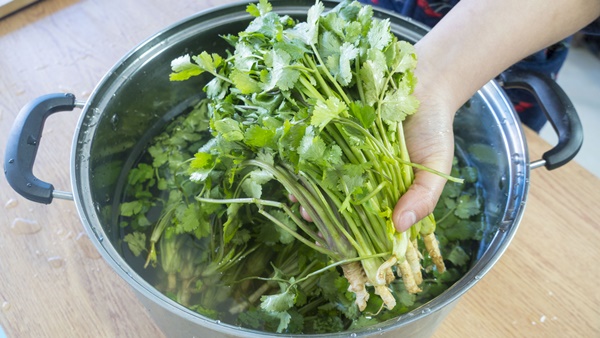 1 đống thuốc bổ không bằng 1 nắm rau mùi: 3 món ăn dễ làm từ rau mùi giúp bạn chống lại bệnh tật và thêm ngon miệng-5
