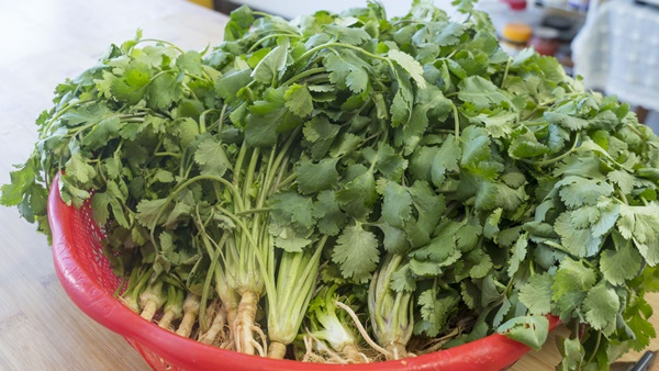 1 đống thuốc bổ không bằng 1 nắm rau mùi: 3 món ăn dễ làm từ rau mùi giúp bạn chống lại bệnh tật và thêm ngon miệng-6