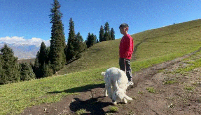 Vì câu nói của con trai, bố mẹ bán nhà và ô tô, đưa con đi khắp thế giới: Con tôi tưởng thành phố nơi nó sống là đẹp nhất!-5