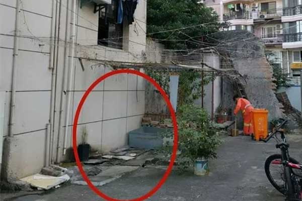 Bị lao công bán mất tấm ván cũ, người phụ nữ kiện đòi 584 triệu đồng-1