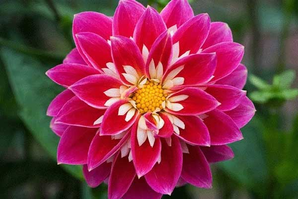 4 cung hoàng đạo được nhiều người chọn làm chồng vì tiêu chí gia trưởng mới lo được cho em-5