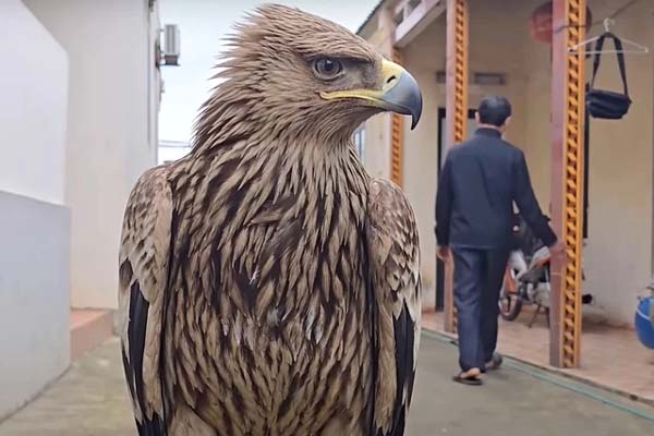 Hà Nội: Một nữ sinh lớp 10 mất liên lạc với gia đình gần 1 tuần-2