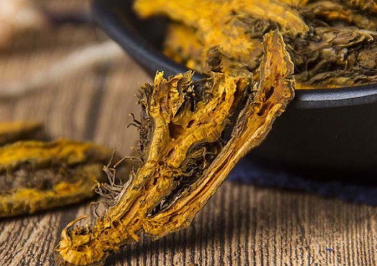 Lên núi thấy thứ này đừng bỏ qua, nhổ bán đút túi ngay nửa triệu/kg-2