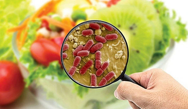 Vi khuẩn Salmonella có trong cơm gà Trâm Anh nguy hiểm thế nào?-2