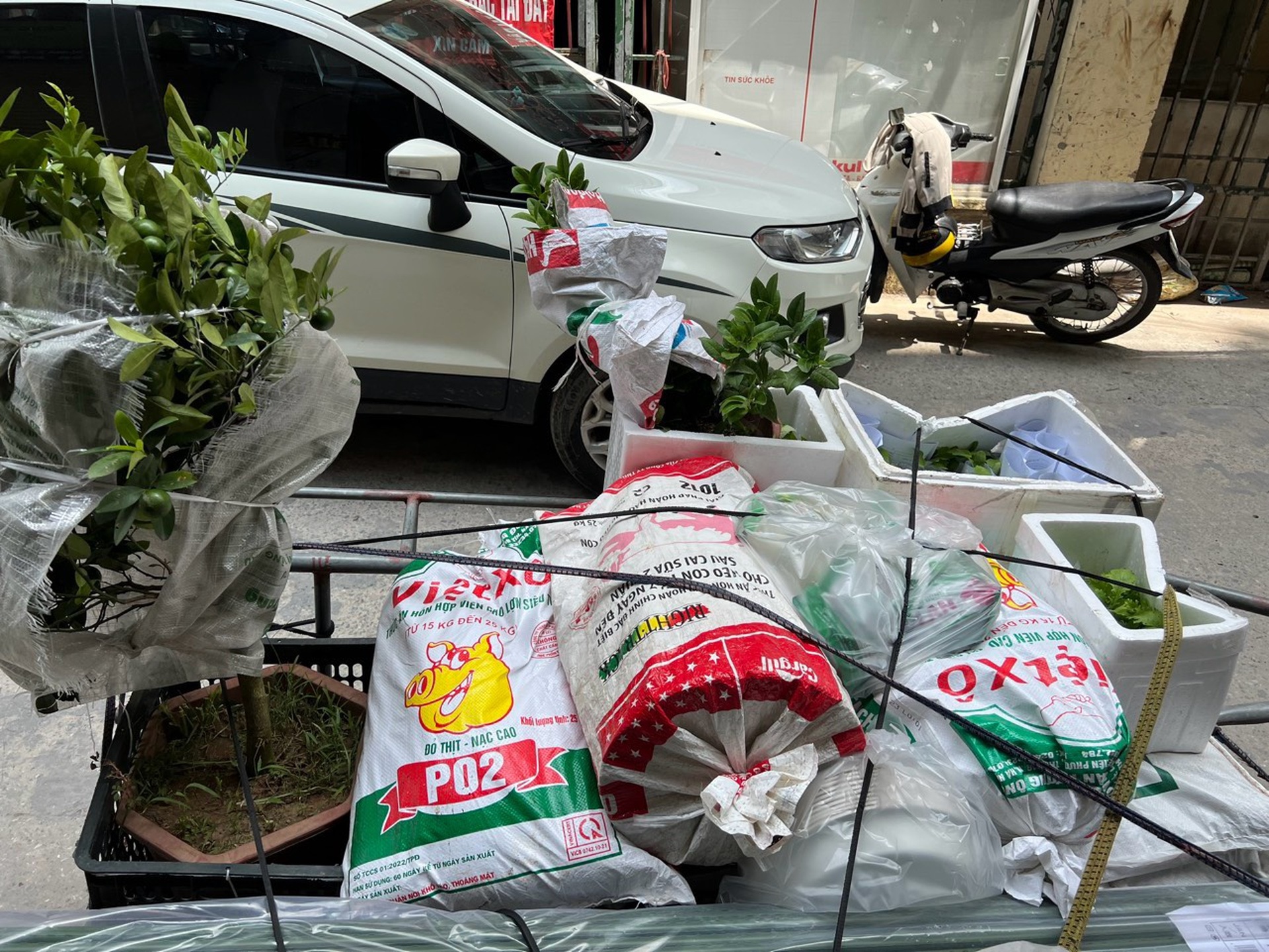 Ông bố ở Hà Nội chi nửa tỷ đồng làm vườn rau sân thượng-3