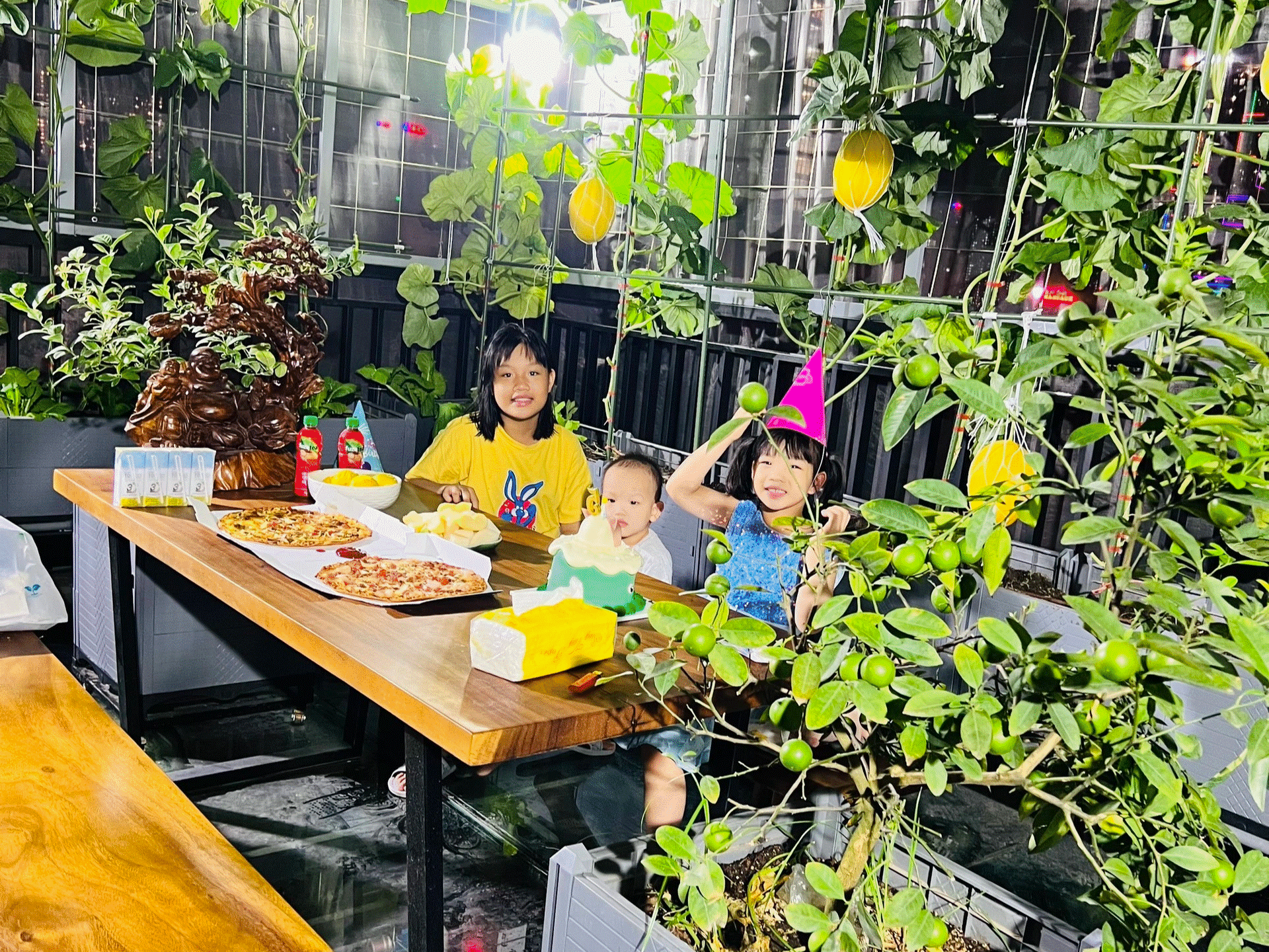 Ông bố ở Hà Nội chi nửa tỷ đồng làm vườn rau sân thượng-13